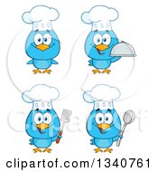 Poster, Art Print Of Cartoon Blue Bird Chefs