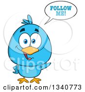 Poster, Art Print Of Cartoon Blue Bird Saying Follow Me