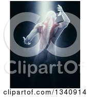 Poster, Art Print Of 3d Rear View Of A Medical Anatomical Male Reaching Back With Visible Muscles On Black With Shining Light