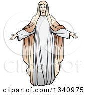 Virgin Mary 3