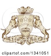 Retro Sketched Or Engraved Pit Bull Coat Of Arms
