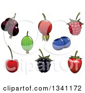 Poster, Art Print Of Strawberry Blackberry Raspberry Cherry Black Currant Blueberry Gooseberry And Briar Fruits