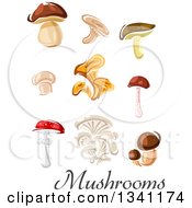 Clipart Of Cartoon Mushrooms And Text Royalty Free Vector Illustration