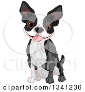 Poster, Art Print Of Cute Boston Terrier Or French Bulldog Sitting And Panting
