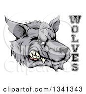 Clipart Of A Snarling Gray Wolf Mascot Head And Text Royalty Free Vector Illustration
