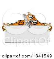 Poster, Art Print Of Cartoon Roaring Aggressive Tiger Sports Mascot Holding A Blank Wide Sign