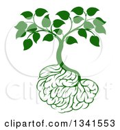 Leafy Green Tree With Brain Roots
