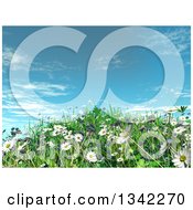Poster, Art Print Of 3d Grassy Hill With Daisies And Grass Against Blue Sky
