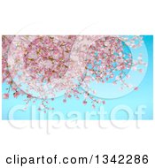 Poster, Art Print Of Background Of Painted Cherry Blossoms Over Blue Sky