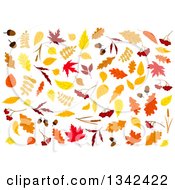 Poster, Art Print Of Colorful Autumn Leaves 3