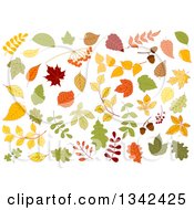 Poster, Art Print Of Colorful Autumn Leaves 2