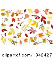 Clipart Of Colorful Autumn Leaves Royalty Free Vector Illustration