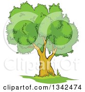 Poster, Art Print Of Cartoon Tree With A Lush Green Mature Canopy 5