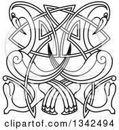 Poster, Art Print Of Black And White Lineart Celtic Knot Cranes Or Herons
