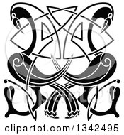 Clipart Of Black And White Celtic Knot Cranes Or Herons Royalty Free Vector Illustration