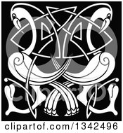 Clipart Of White Celtic Knot Cranes Or Herons On Black Royalty Free Vector Illustration