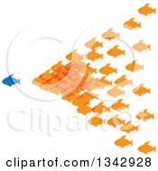 Group Of Orange Fish Following A Blue Fish