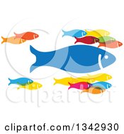 Poster, Art Print Of Group Of Colorful Schooling Fish With One Large Leader