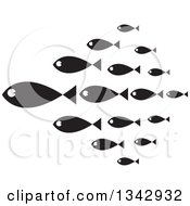 Group Of Black And White Schooling Fish