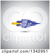 Clipart Of A Yellow Fish Leading A Group Of Blue Fish Over Shading Royalty Free Vector Illustration