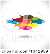 Poster, Art Print Of Group Of Colorful Schooling Fish Over Shading 3