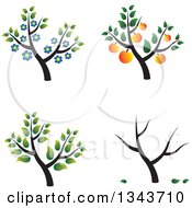 Poster, Art Print Of Trees With Blossoms Apricots And Leaves