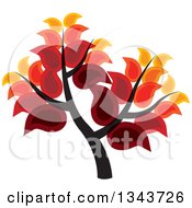 Poster, Art Print Of Tree With Rich Autumn Colored Leaves