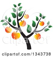 Tree With Ripe Apricots