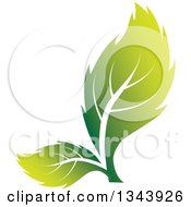 Clipart Of Two Green Leaves Royalty Free Vector Illustration