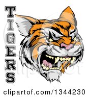 Poster, Art Print Of Vicious Growling Tiger Mascot Face And Text
