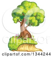 Poster, Art Print Of Mature Tree Home With A Door
