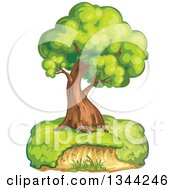 Poster, Art Print Of Mature Tree On A Hill