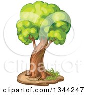 Poster, Art Print Of Mature Tree