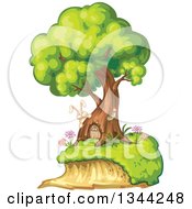 Poster, Art Print Of Rabbit By A Tree Home With A Door