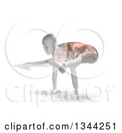 Poster, Art Print Of 3d Anatomical Woman Stretching Balanced On Her Hands In A Yoga Pose With Visible Muscles On White