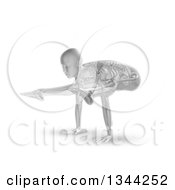 Poster, Art Print Of 3d Anatomical Woman Stretching Balanced On Her Hands In A Yoga Pose With Visible Skeleton On White