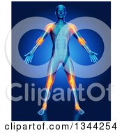 Poster, Art Print Of 3d Anatomical Man With Visible Muscles And Highlighted Joints Over Blue