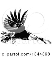 Poster, Art Print Of Black And White Flying Bald Eagle