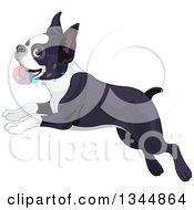 Clipart Of A Cute Boston Terrier Dog Drooling And Running To The Left Royalty Free Vector Illustration