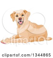 Happy Yellow Labrador Retriever Dog Resting
