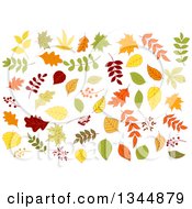 Poster, Art Print Of Colorful Autumn Leaves 5