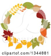 Poster, Art Print Of Colorful Autumn Leaf Wreath 9