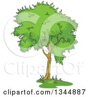 Clipart Of A Cartoon Tree With A Lush Green Mature Canopy 6 Royalty Free Vector Illustration
