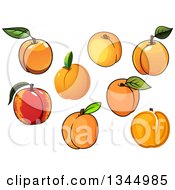 Poster, Art Print Of Cartoon Apricots