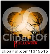 Poster, Art Print Of Lit Jackolantern Pumpkin In A Cemetery Against An Orange Full Moon With Bare Trees Bats And Halloween Text