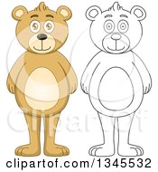 Clipart Of Cartoon Colored And Black And White Outline Standing Teddy Bears Royalty Free Vector Illustration
