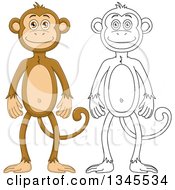 Clipart Of Cartoon Colored And Black And White Outline Standing Monkeys Royalty Free Vector Illustration