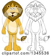 Poster, Art Print Of Cartoon Colored And Black And White Outline Standing Male Lions