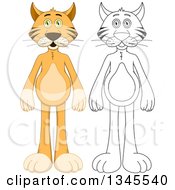 Poster, Art Print Of Cartoon Colored And Black And White Outline Standing Cats