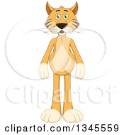 Poster, Art Print Of Cartoon Standing Ginger Cat